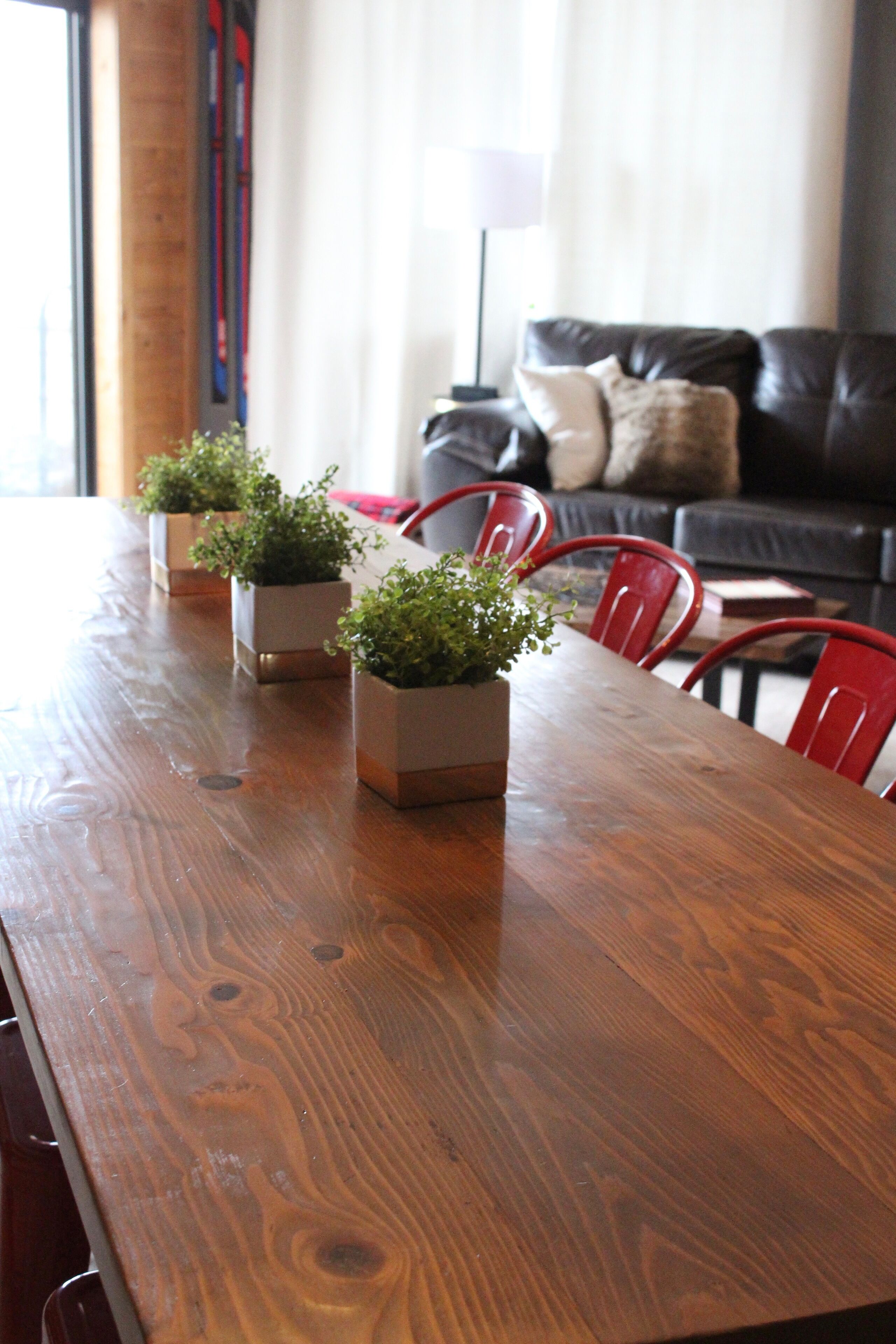 A wooden dining table with three square planters, red chairs, and a black leather sofa in the background.