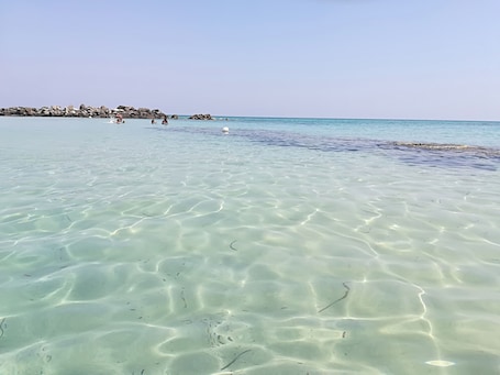 Spiaggia. TRULLO ALESSANDRO e VILLA RAFFAELA (riserva marina di Torre Guaceto) 14p,4 bagni