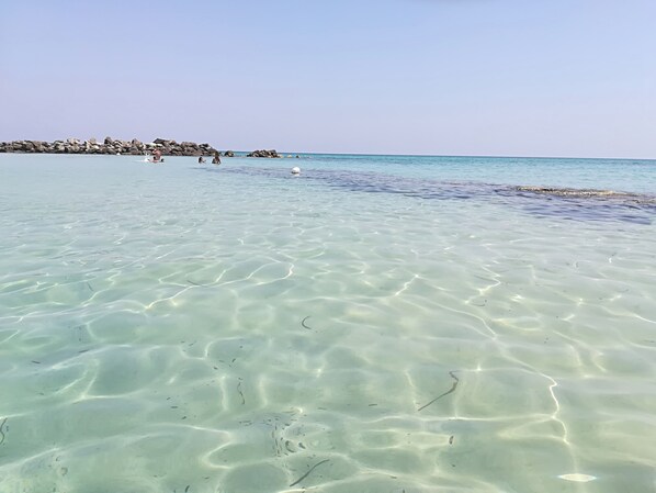Beach - TRULLO ALESSANDRO and VILLA RAFFAELA (marine reserve of Torre Guaceto) 14p,4 bathrooms (Serranova, San Vito dei Normanni, Brindisi, Italia)