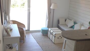 Télévision, lecteur de DVD, livres