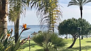 Un jardin en bord de mer, avec des palmiers, une fleur de paradis, et une vue sur la mer.