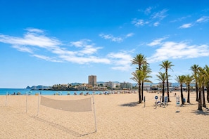 A beach with a volleyball net, palm trees, and a clear blue sky.