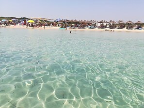 Beach nearby - TRULLO ALESSANDRO marine nature reserve of Torre Guaceto your deserved relaxation (Serranova,San Vito dei Normanni)