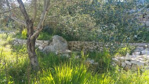 A stone wall with greenery and a tree in a natural setting.