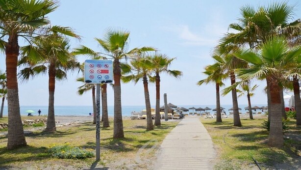 Un sentier bordé de palmiers qui longe la plage et mène aux parasols et aux chaises de plage.