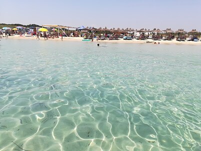 VILLA RAFFAELA (marine reserve of Torre Guaceto) between sea and ancient olive trees