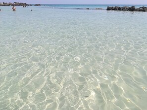 Beach - VILLA RAFFAELA (marine reserve of Torre Guaceto) between sea and ancient olive trees (Serranova, San Vito dei Normanni, Brindisi, Italia)