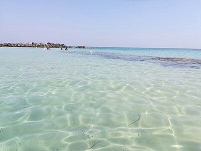 VILLA RAFFAELA (marine reserve of Torre Guaceto) between sea and ancient olive trees