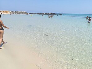 Beach - VILLA RAFFAELA (marine reserve of Torre Guaceto) between sea and ancient olive trees (Serranova, San Vito dei Normanni, Brindisi, Italia)
