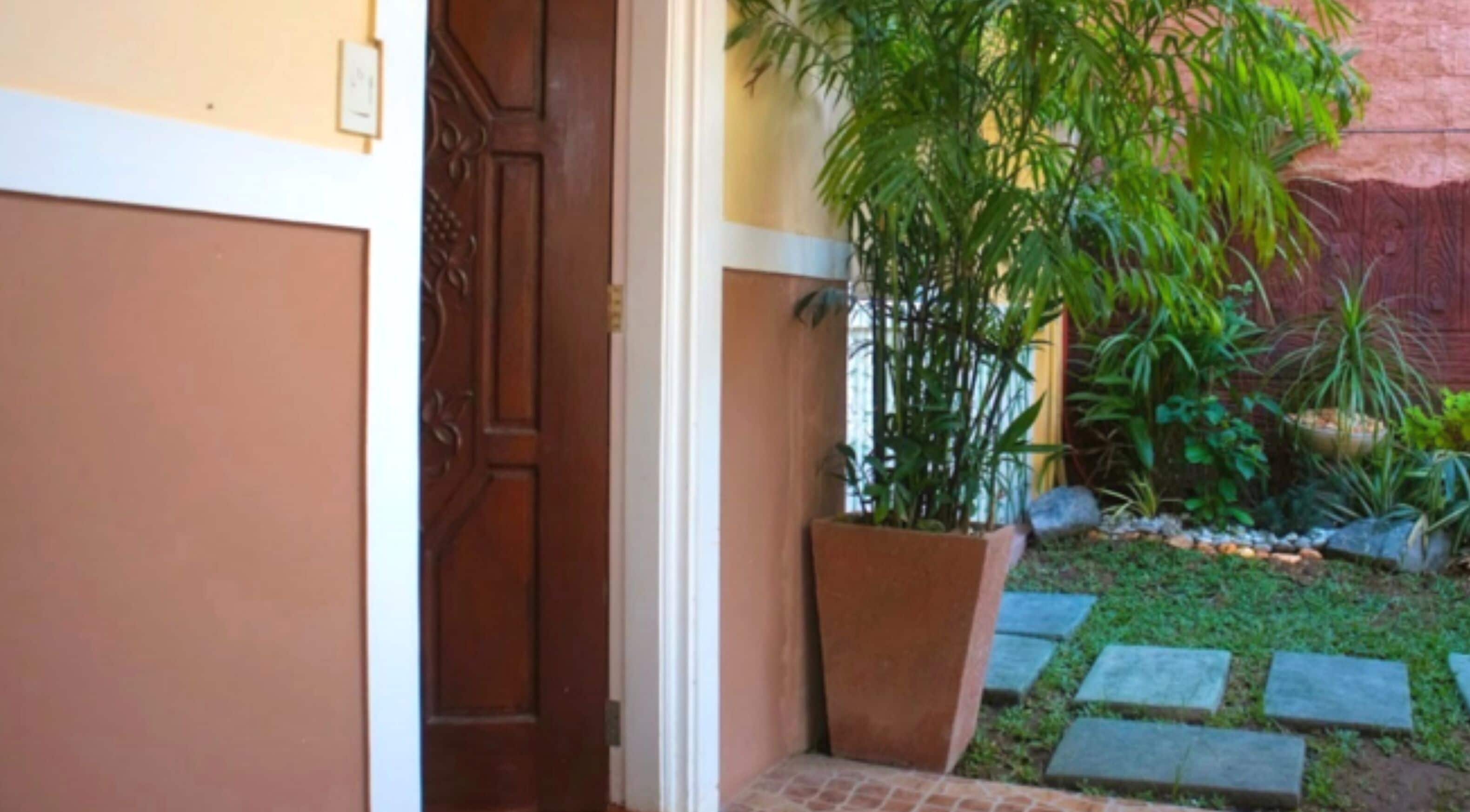A wooden door leading to a garden with a large potted plant and a stone pathway.