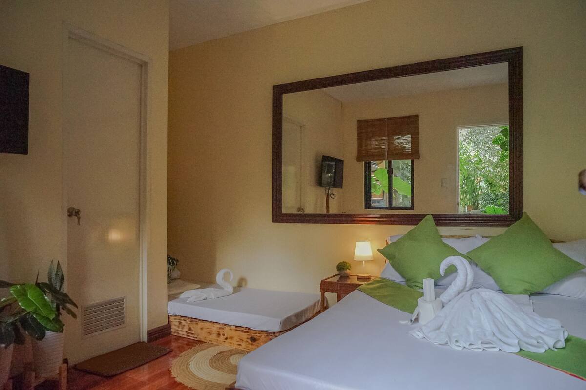 Habitación de hotel con dos camas individuales, un espejo grande, una mesita con lámpara y una planta verde.
