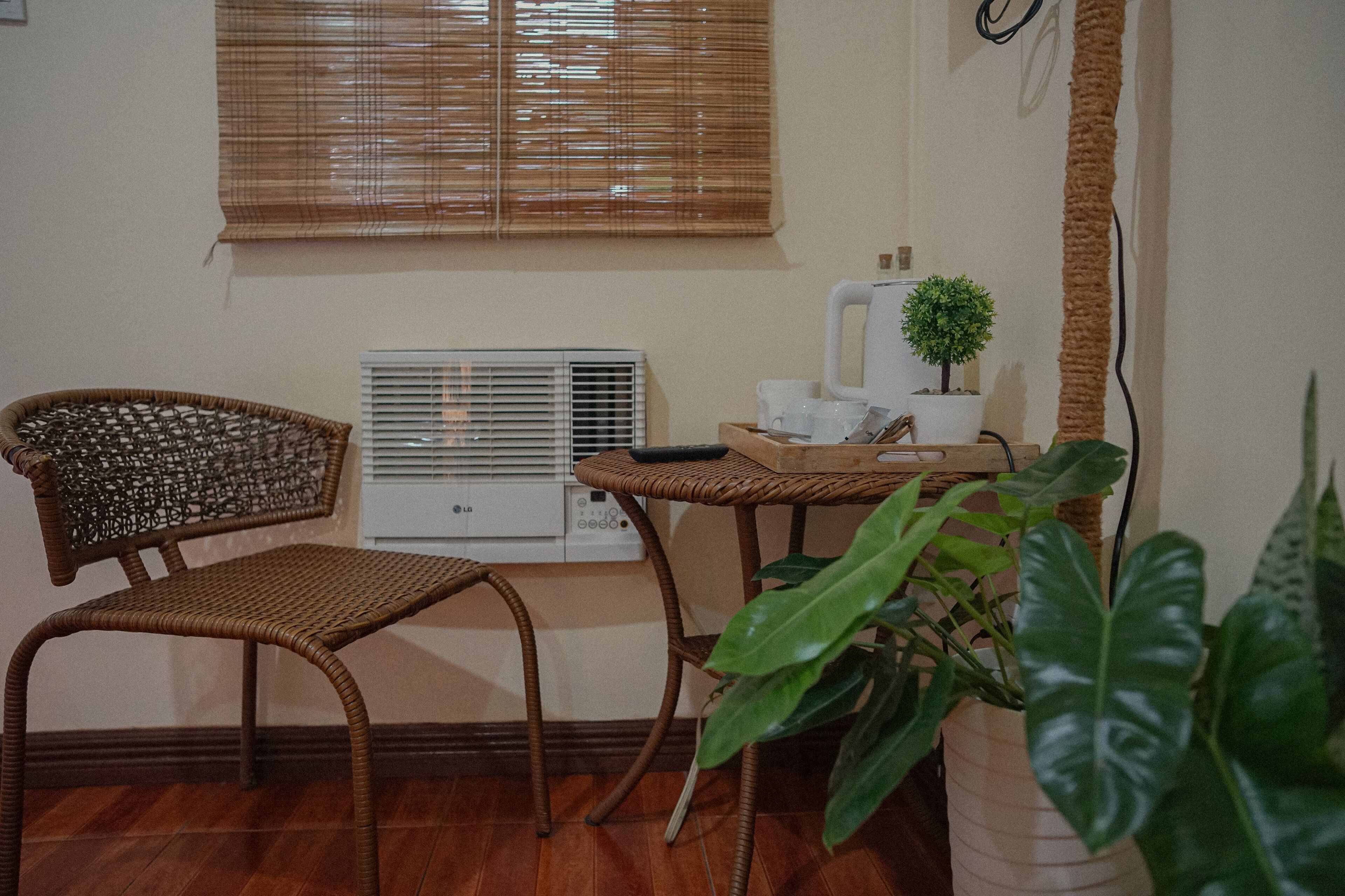 A room with a wicker chair, a small table with a plant, a radiator, and a window with blinds.