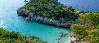 Can Toni Carol SV-977