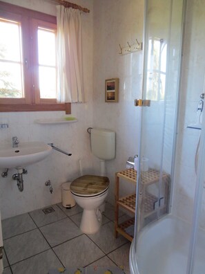 Shower, hair dryer, soap, toilet paper - Wockninsee - Finnish log house & round log house (Ückeritz)