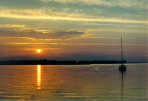 Niet-geclassificeerde afbeelding, 3 van 31, knop