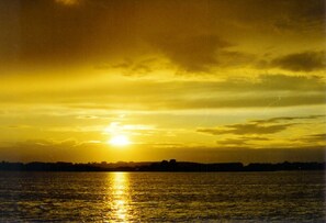 Niet-geclassificeerde afbeelding, 4 van 31, knop