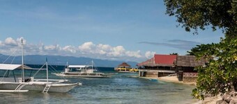 D' Gecko Hotel