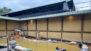 A traditional Japanese onsen with a stone bath surrounded by rocks and a wooden building with a tiled roof. - Shin Kong Chao Feng Ranch And Resort (Fenglin)