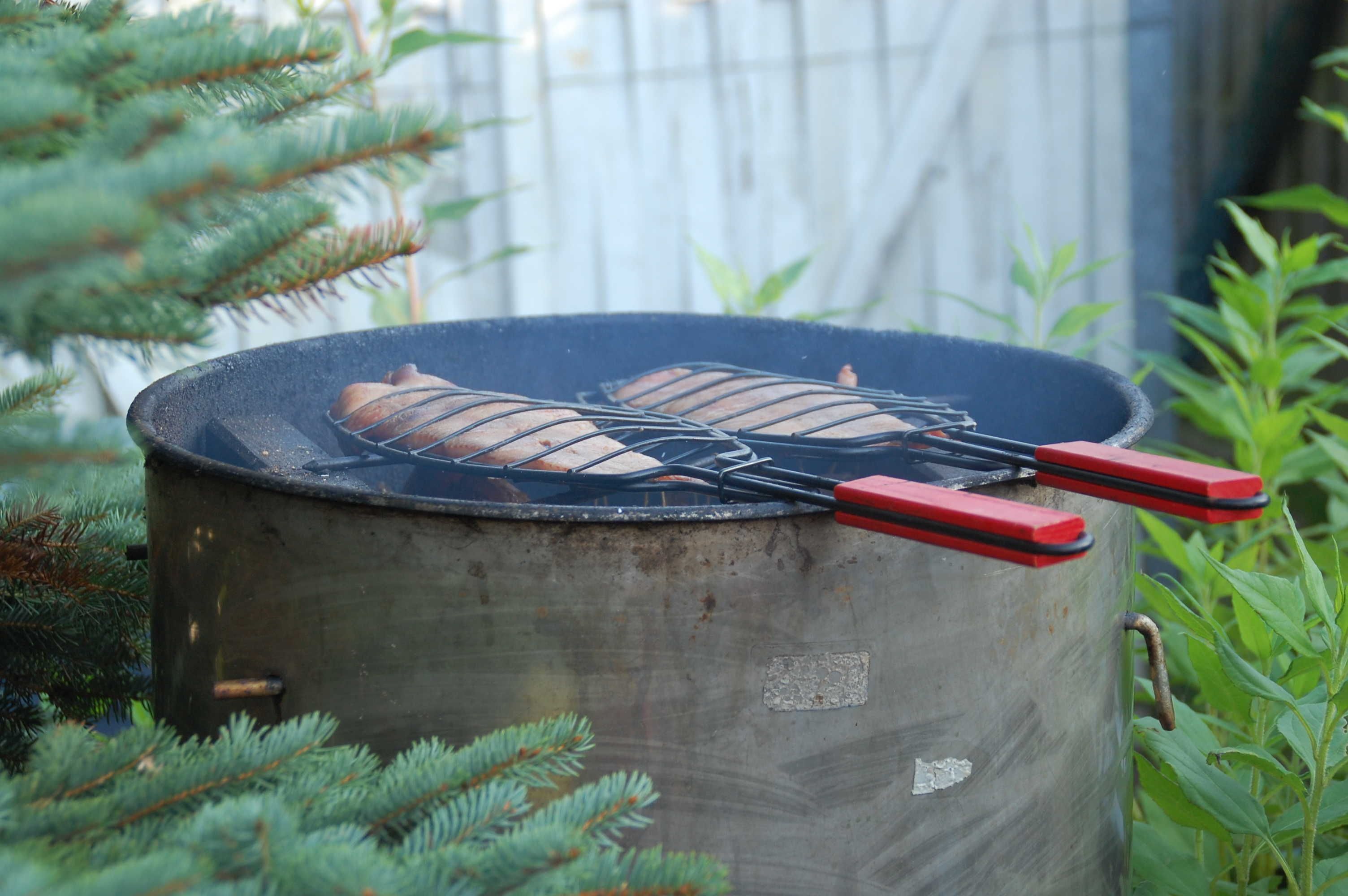 A metal barrel with a grill on top, surrounded by greenery.