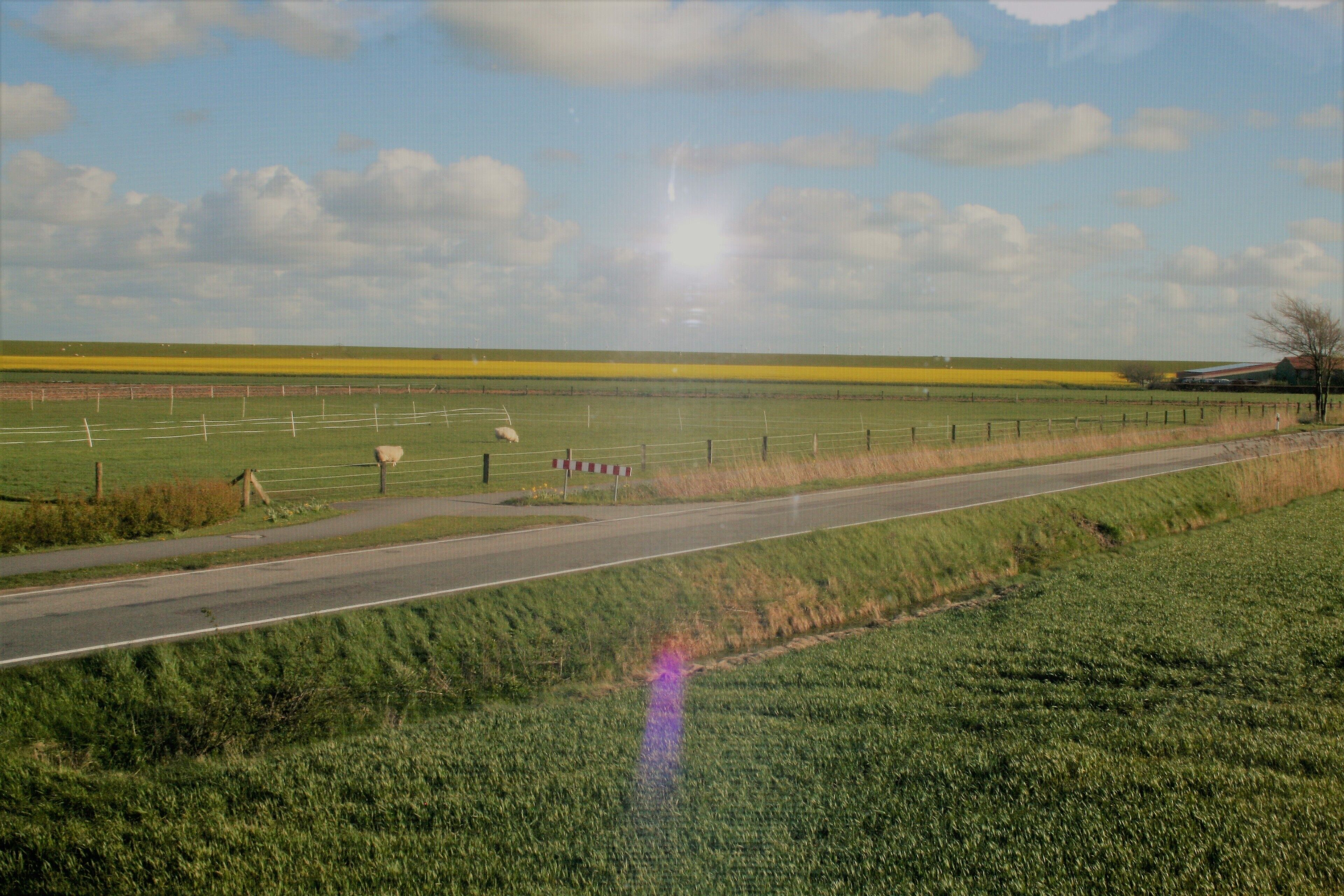 A rural landscape with a road, fields, and a fence.
