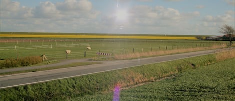 A rural landscape with a road, fields, and a fence.