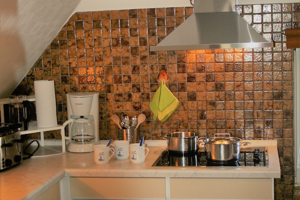 Kühlschrank, Mikrowelle, Herdplatte, Geschirrspüler