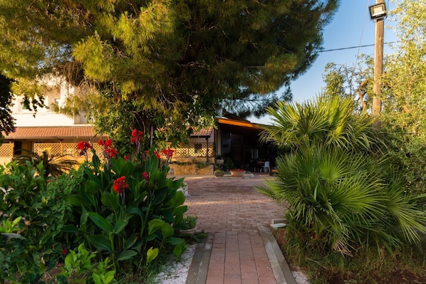 Property grounds - Agriturismo Sant'Andrea (Castellaneta)