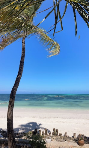 On the beach - Mango Beach house (Jambiani)