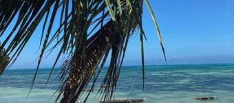 Mango Beach house