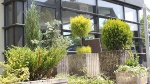 A building with large windows and various potted plants in front.