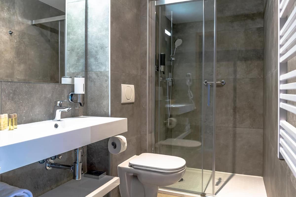 shower, free toiletries, hair dryer, towels