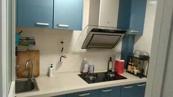 Kühlschrank, Herdplatte, Wasserkocher, Kochgeschirr/Geschirr/Besteck