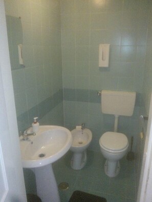 Ducha, secador de pelo, bidet, toallas