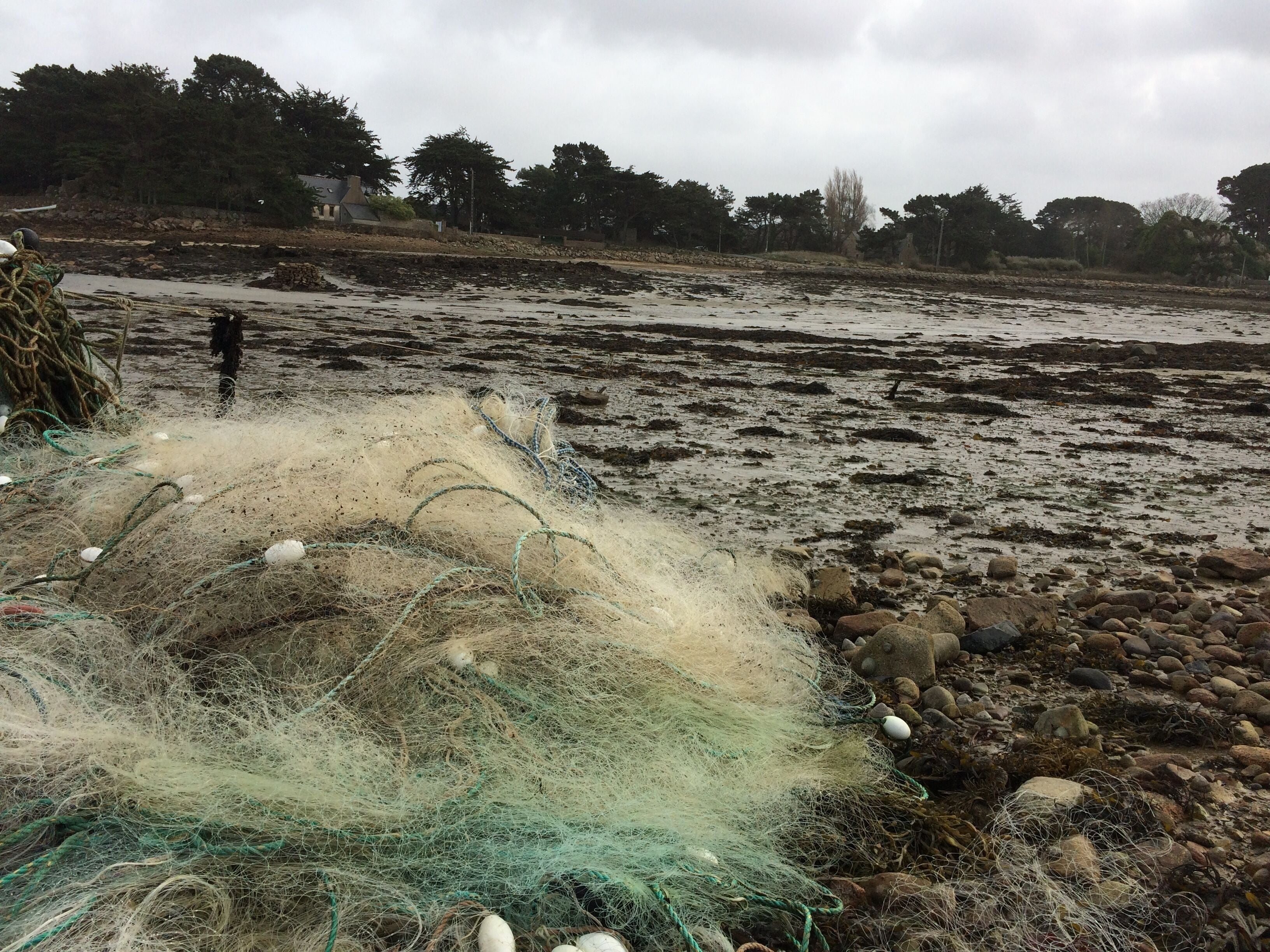 Una playa rocosa con redes y equipo de pesca.