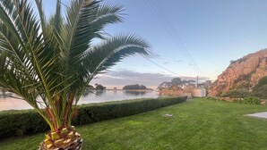 A well-maintained lawn with a palm tree and a birdhouse.