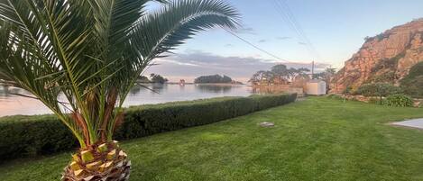 A well-maintained lawn with a palm tree and a birdhouse.