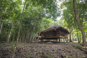 Basic Shared Dormitory, 1 Double Bed, Shared Bathroom, Resort View | Property grounds