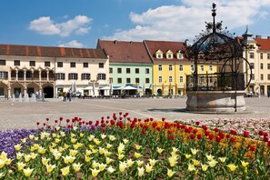 Una plaza con edificios coloridos, una fuente y un jardín de flores.