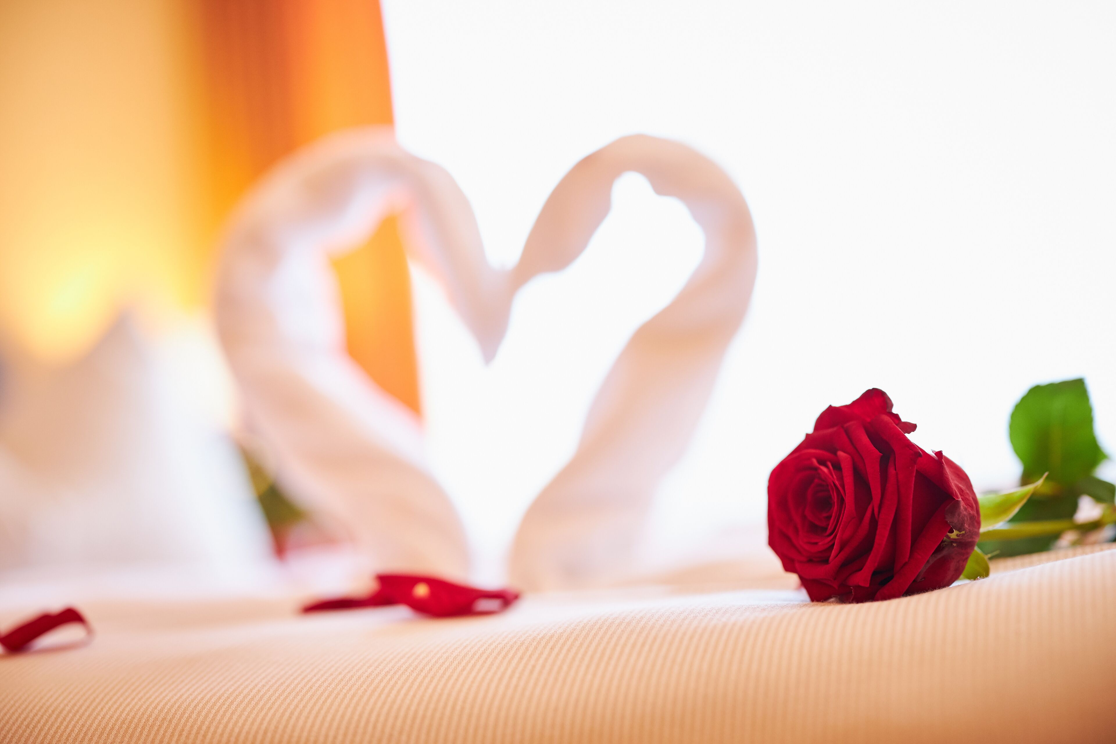 44-inch flat-screen tv with satellite channels, tv