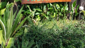 A sign for P.K. Resort surrounded by lush greenery and trees. - PK Resort (Sikao)