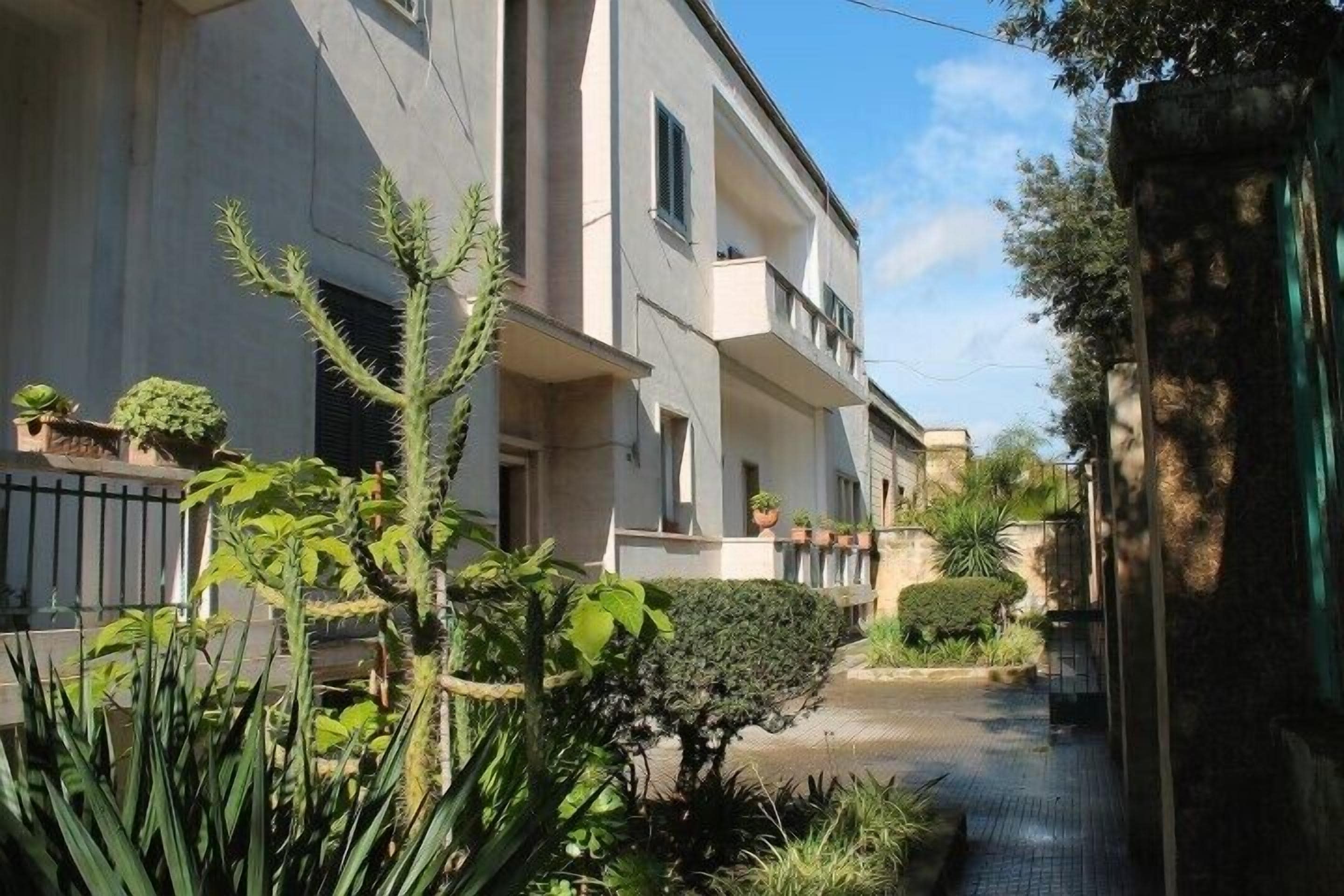 Foto - Piazza Argento