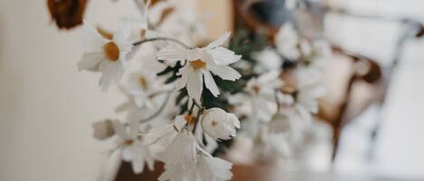 En närbild på vita blommor med bruna kronblad, eventuellt en torkad blomma, i ett rum med en suddig bakgrund.