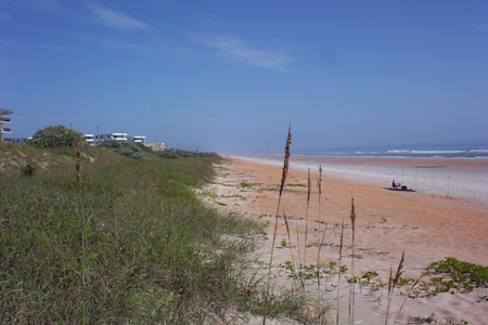 Ormond By The Sea Condo