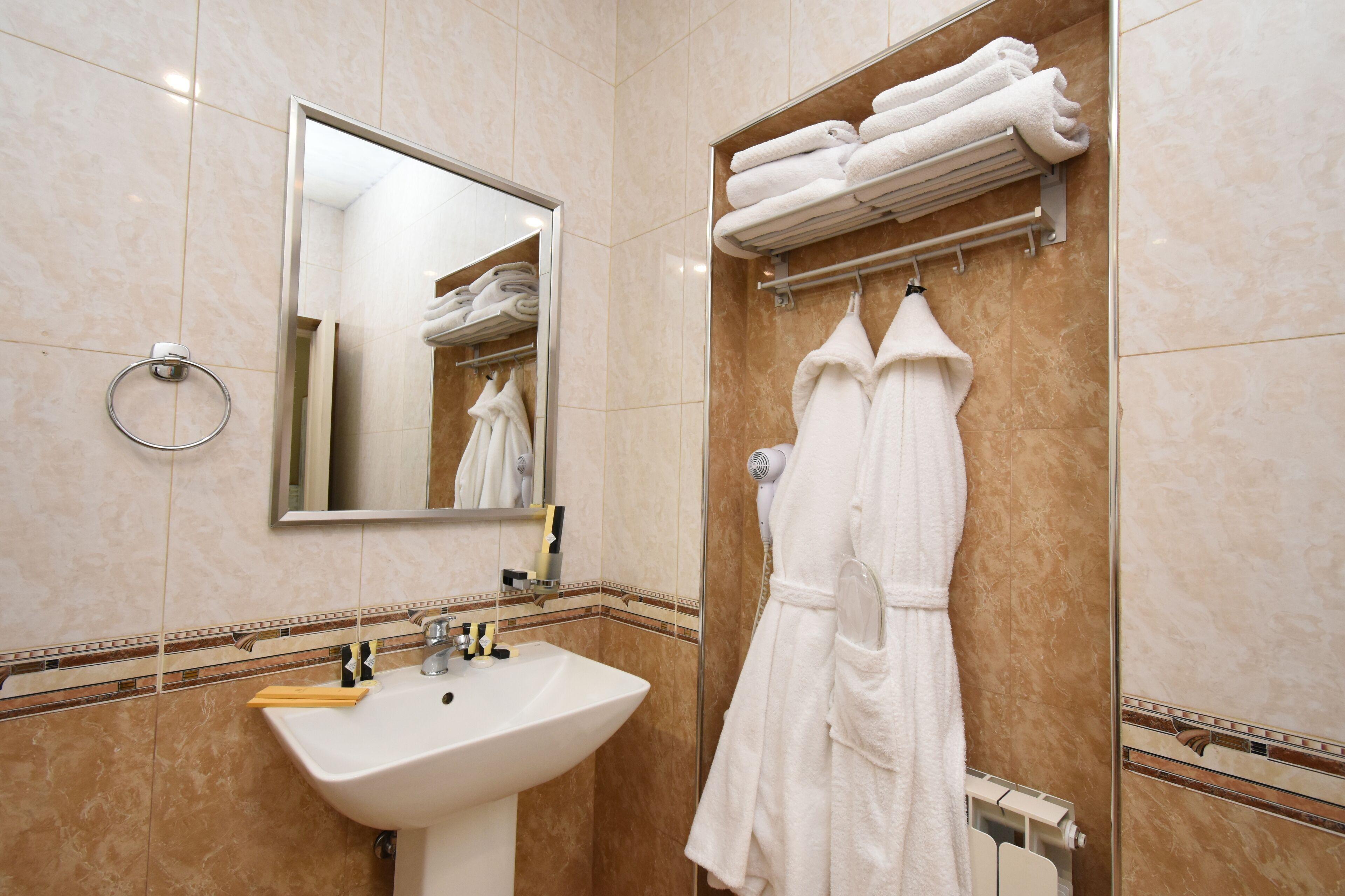standard double room | bathroom | shower, rainfall showerhead, free toiletries, hair dryer