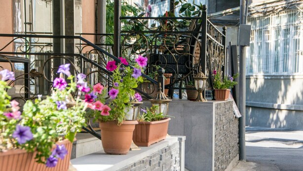 Varanda com plantas em vasos e grade de metal.