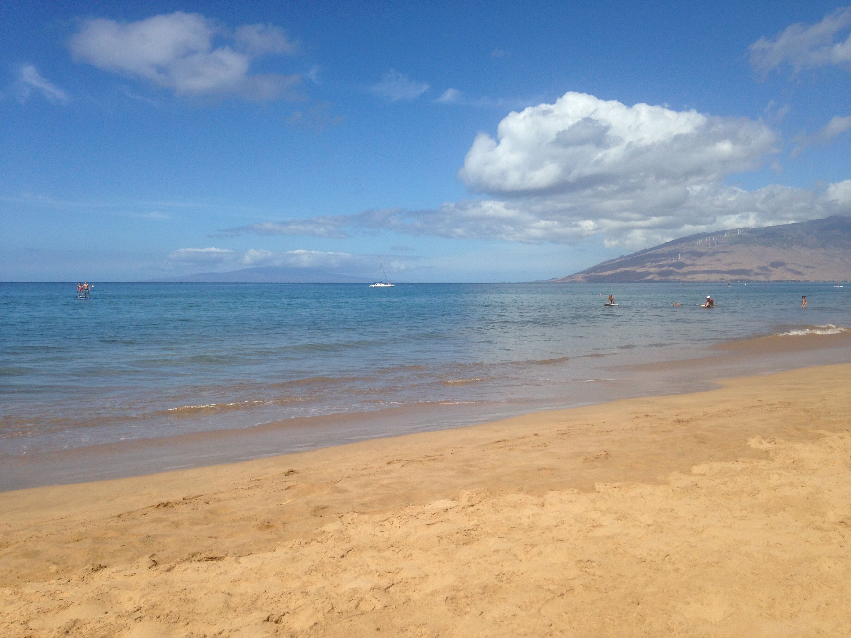 Beach nearby, sun loungers, beach towels