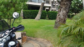 Une moto est garée dans un jardin bien entretenu, agrémenté d’une haie, de palmiers et d’un bâtiment en arrière-plan.
