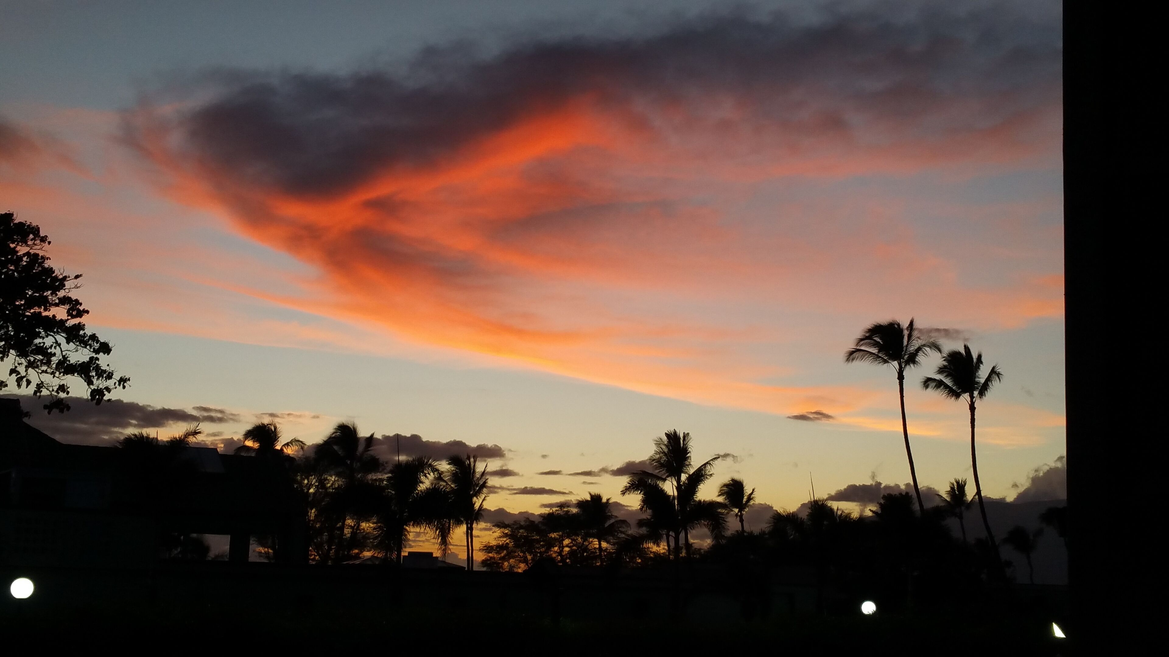 Atardecer con siluetas de palmeras y un cielo nublado.