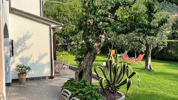 Appartamento Superior | 1 camera, copriletto in piuma, una cassaforte in camera