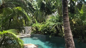 Una piscina rodeada de exuberante vegetación tropical, con un borde de azulejos y un camino de ladrillo que conduce a una zona de estar.
